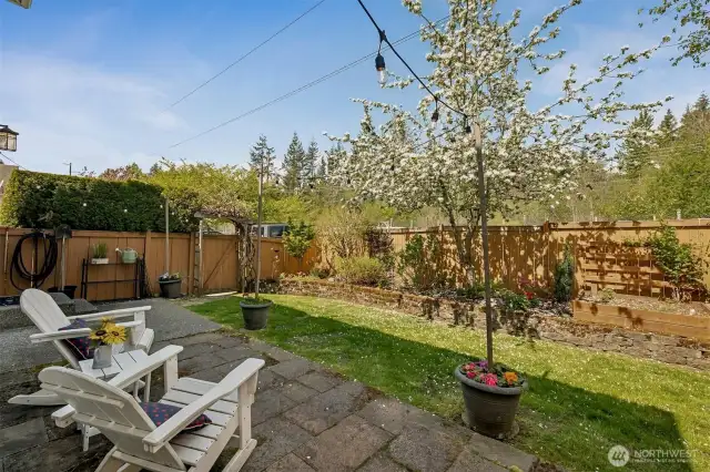 Fully Fenced Yard!