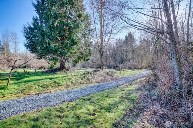 Walking path behind the property line.