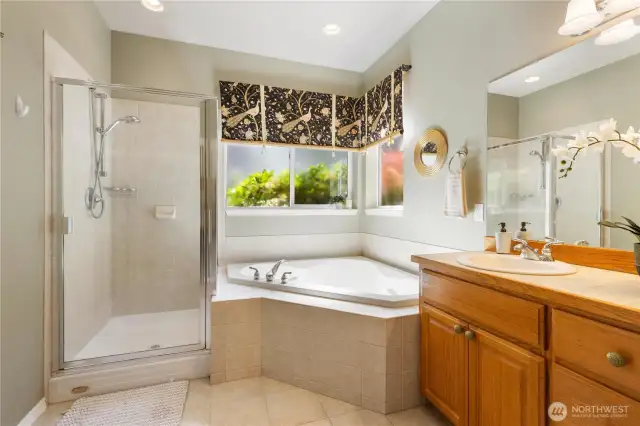 Bathtub and standup shower with a lot of light