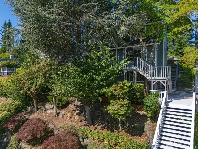 Set high above the street, with a private back street for access by car, you'll find this wonderful tree enshrined home, an amazingly quiet, serene home, almost like an in-city tree house.