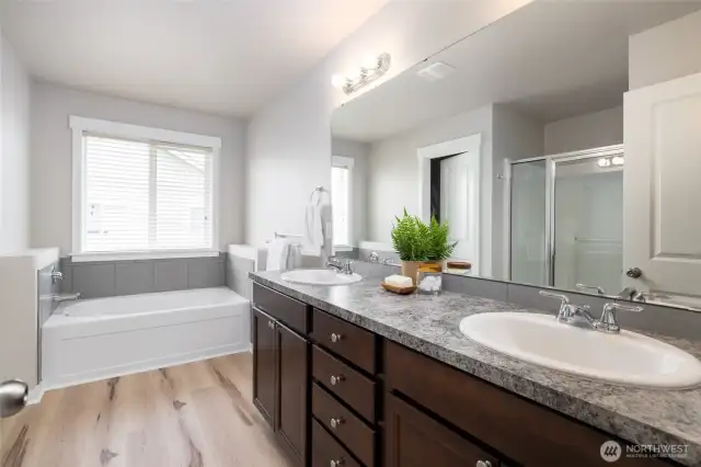 Primary suite full bath with sunken tub, separate shower and dual vanities
