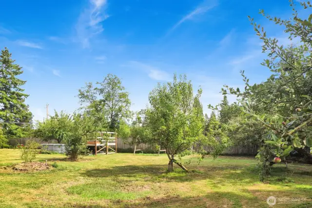 Fruit trees