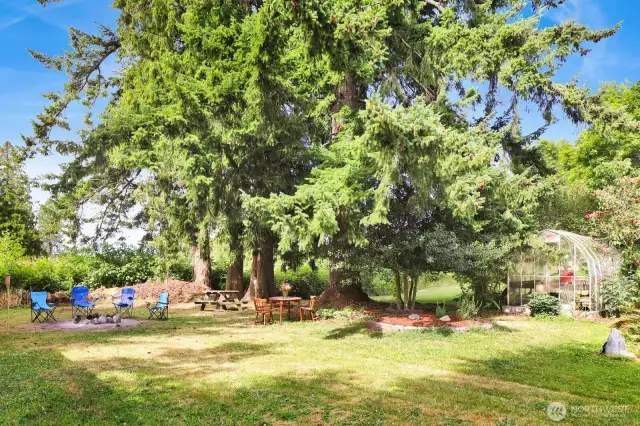 Your own private campsite!