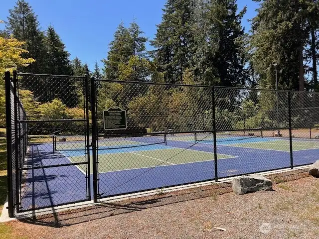 Pickelball anyone?