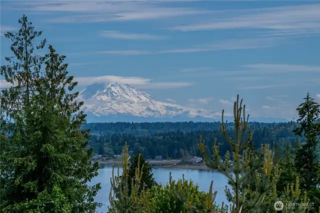 Mt. Rainier