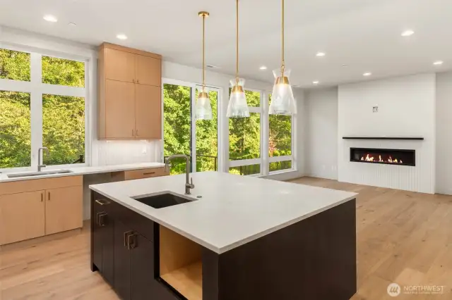 Sprawling chefs kitchen open to great room