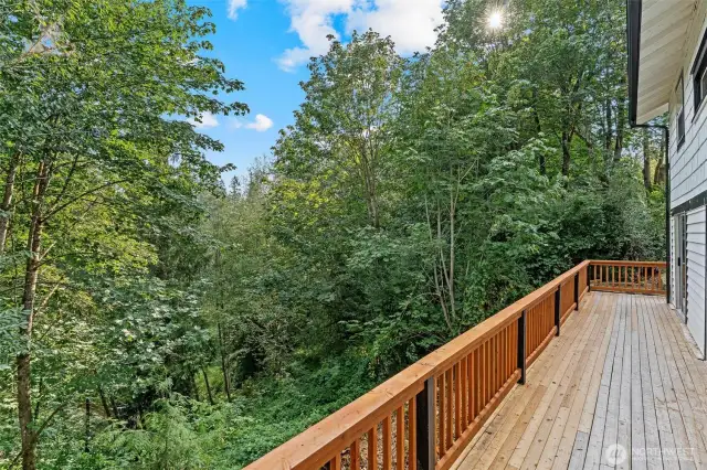 Downstairs private deck area.