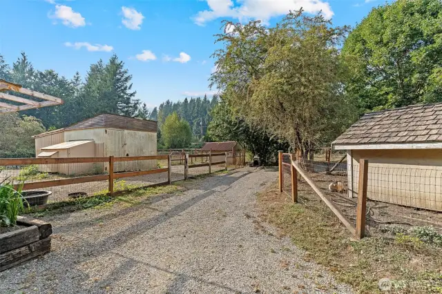 Fenced horse and goat pasture.