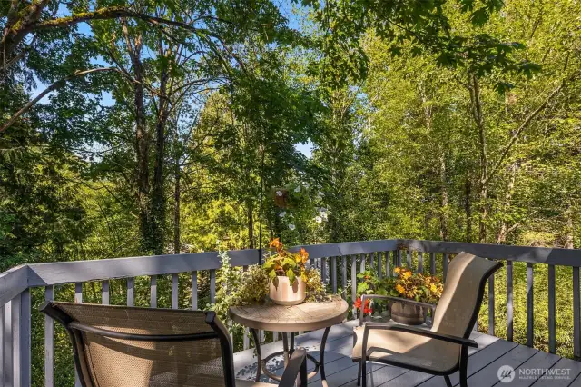 Enjoy the relaxing sounds of a (seasonal) stream from your deck.