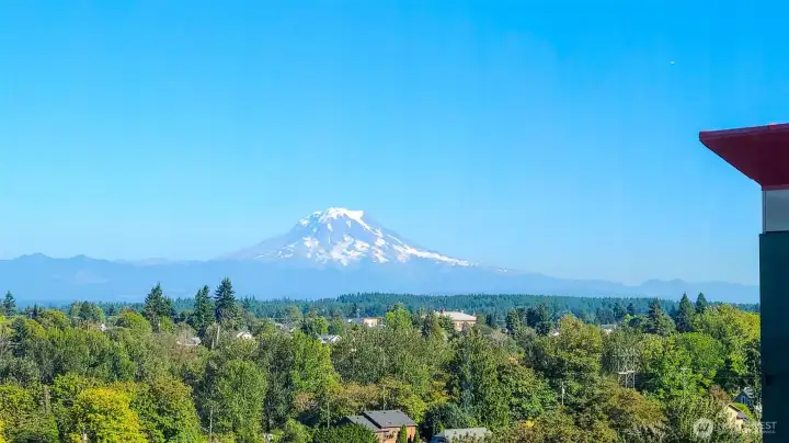 Stunning views of the Mountain