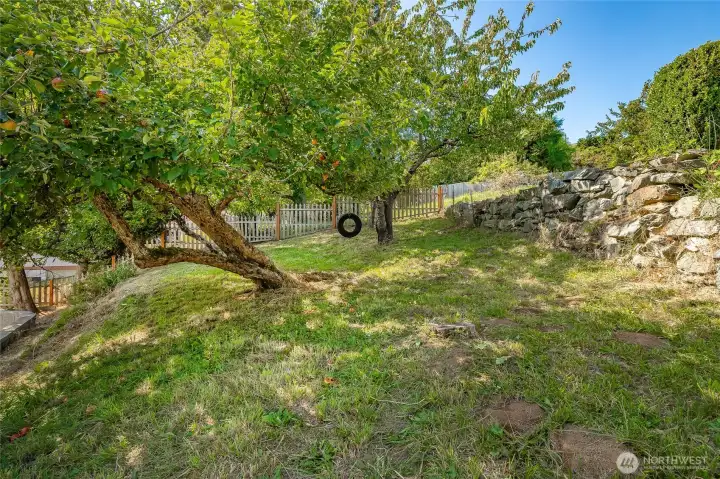 Terraced yard with fruit trees and garden spaces.