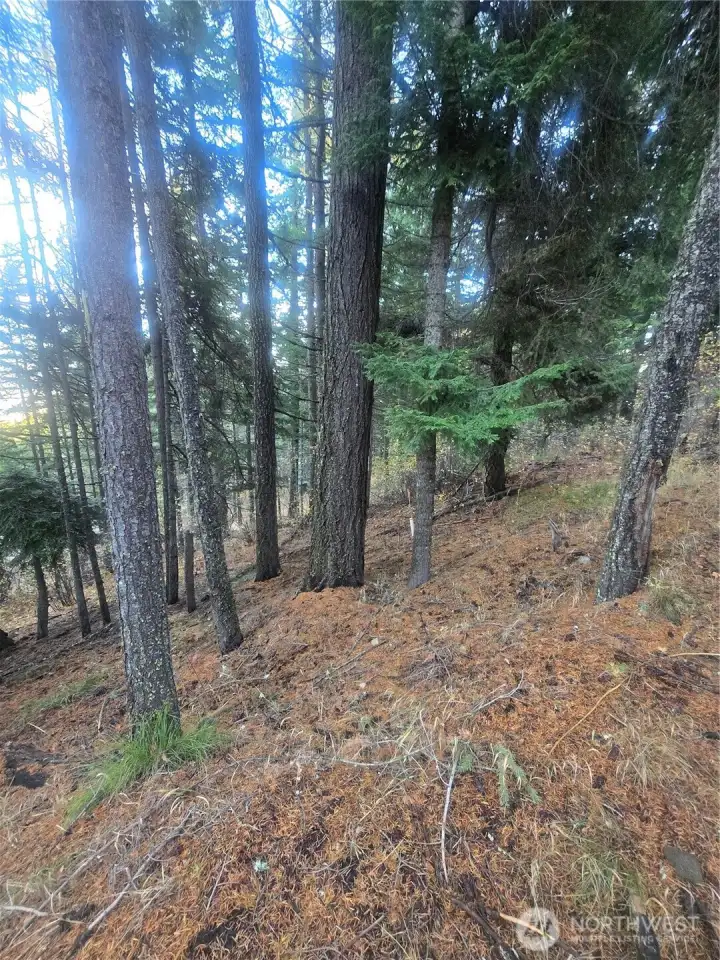 great space for a trailer