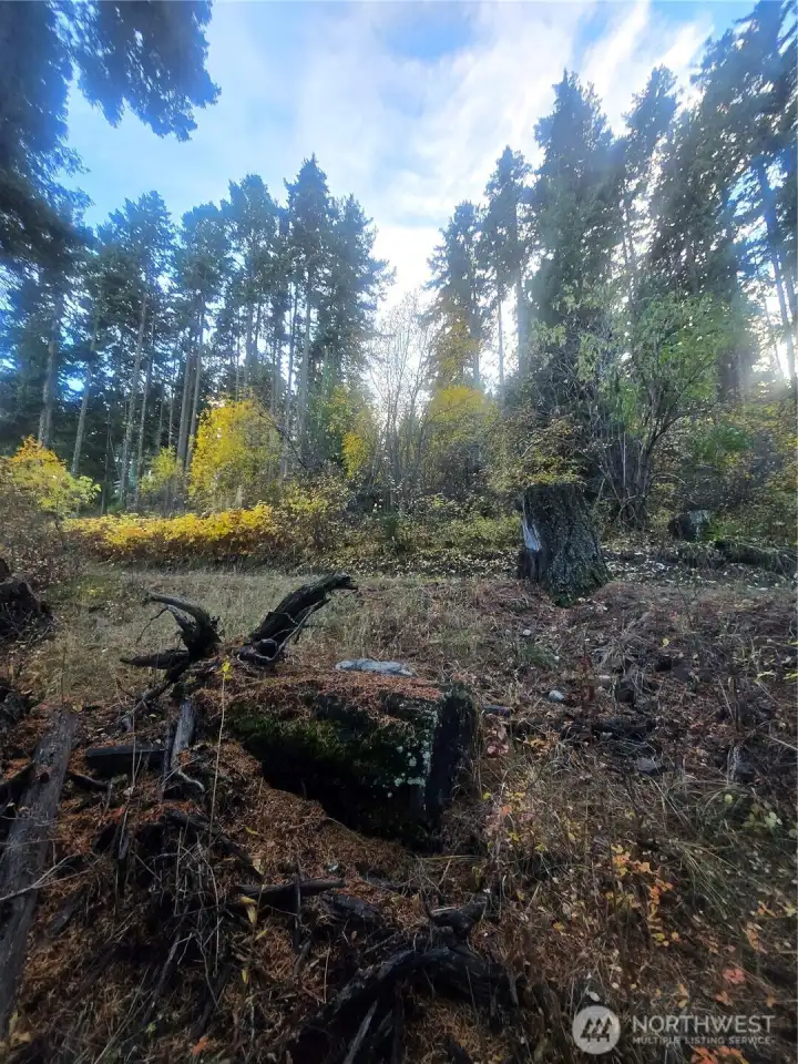 great property ready for your dream