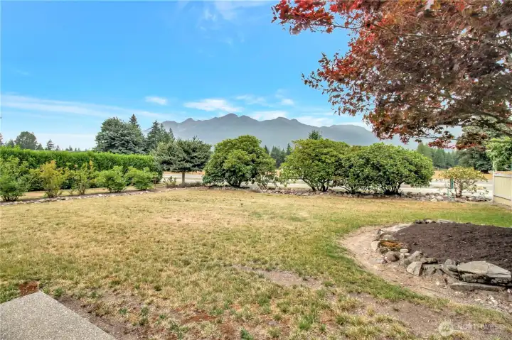 Front yard view! peak-a-boo mountains and farm fields with sheep in the front.