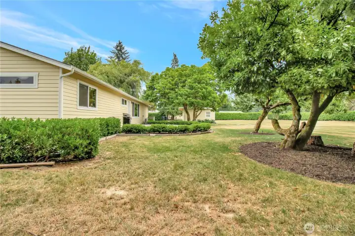Backyard far side entrance. wraps around with space for quick maintenance.