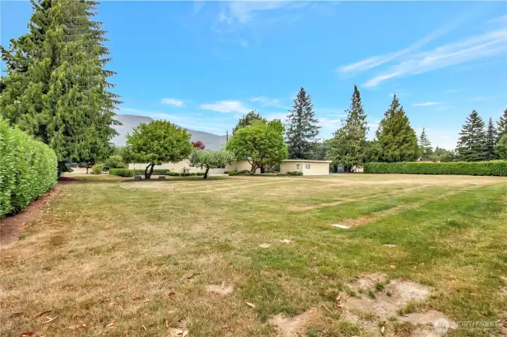 extremely large mostly fenced backyard!