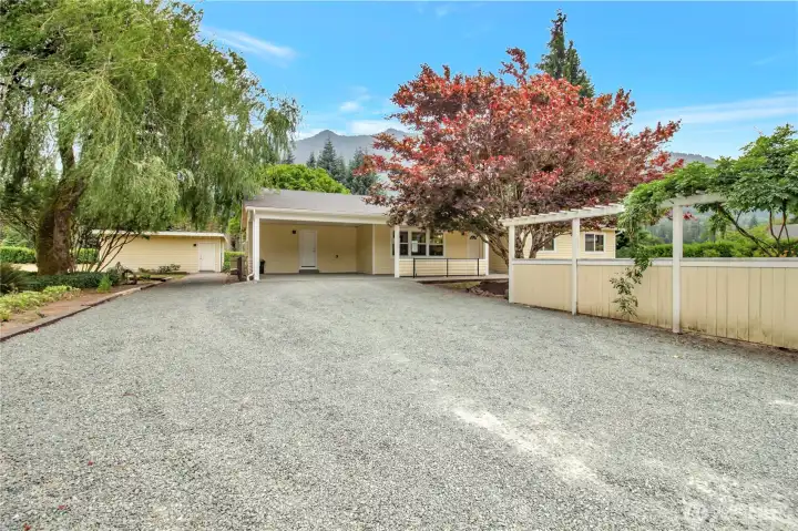 Front entry to the house! carport with ample parking and a oversized weeping willow tree.