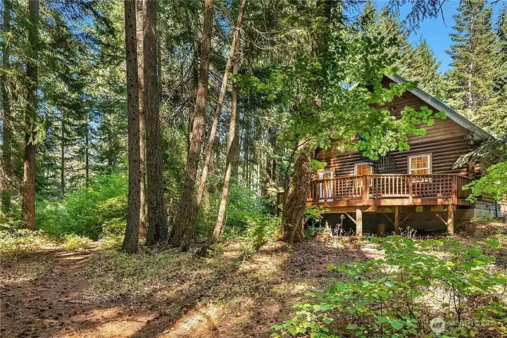 SO MUCH PRIVACY!  YOU SEE NO NEIGHBORS AT ALL