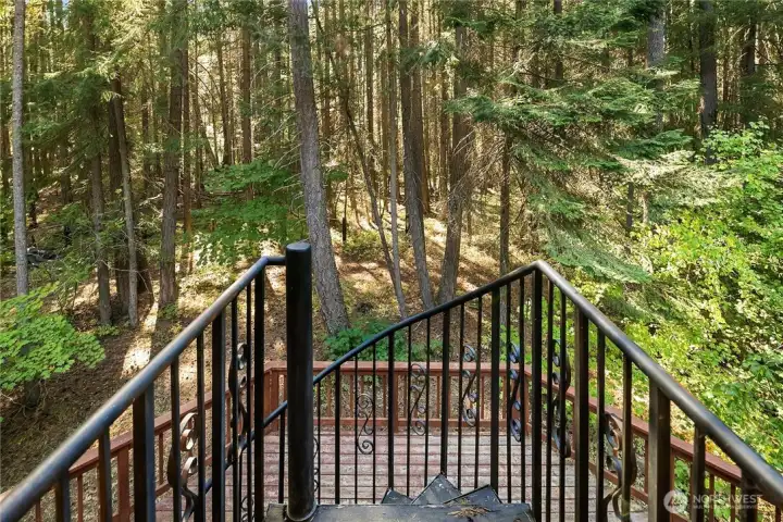 Beautiful wrought iron circular staircase leading from the upstairs of home down to the back deck below