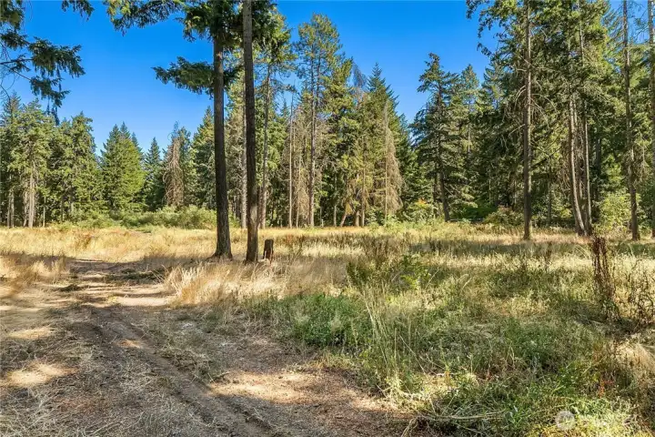 All this gorgeous property is level and usable. Very private, tons of room to roam or build your DREAM HOME!