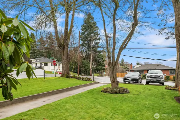 Front yard looking towards parking area
