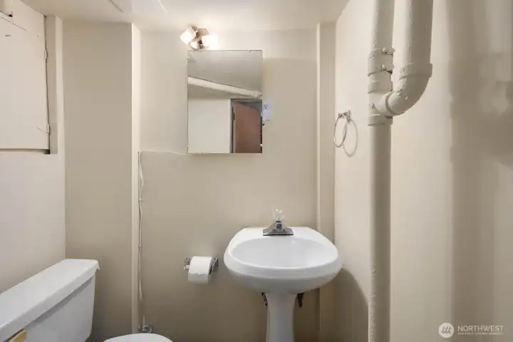 Lower level half bath