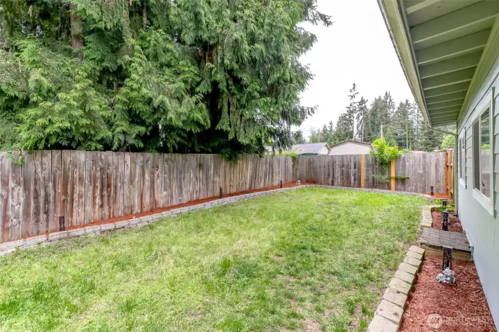 This is the lawn directly behind the living room. This is the lawn directly behind the living room.