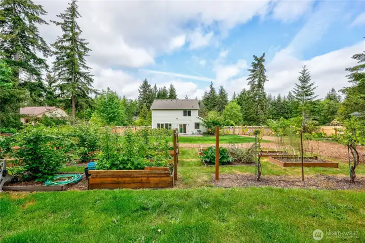 The backyard mini farm is ready for you to take over. There are blueberries, raspberries, pear, apples, peach, cherries, plum, boysenberries, raspberries, asparagus and rhubarb!