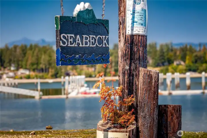 Hang out and relish the Olympic Mountains, watch the bald eagles soar and the boats sail by. Seabeck is Beautiful!