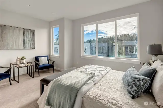 Primary bedroom, big windows for extra natural light