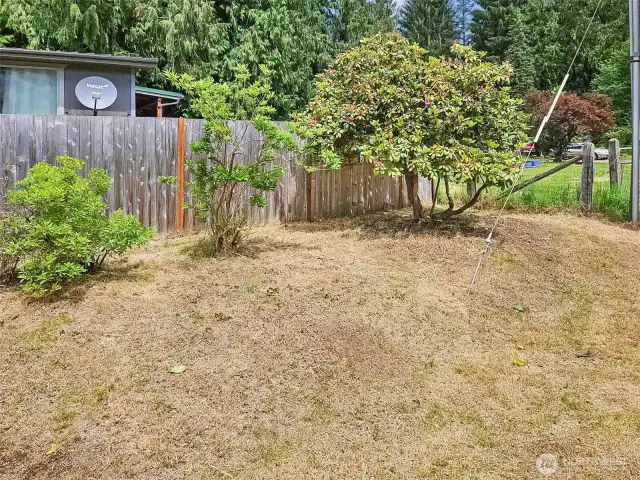 Privacy fence - bring the dogs!