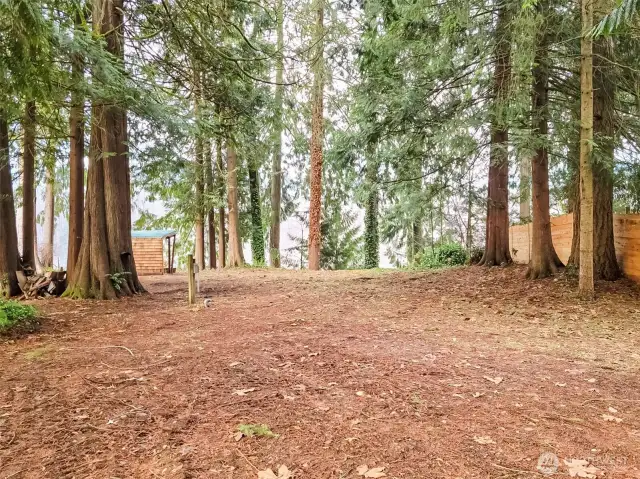 Huge 1/2-acre, flat and usable lot.  Add an ADU or single wide with RV hookup