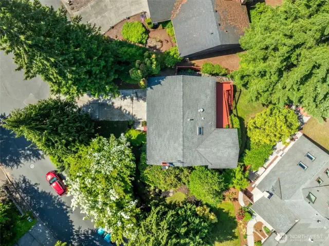 From directly above.