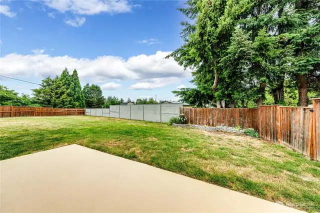 Backyard(HOA mows)