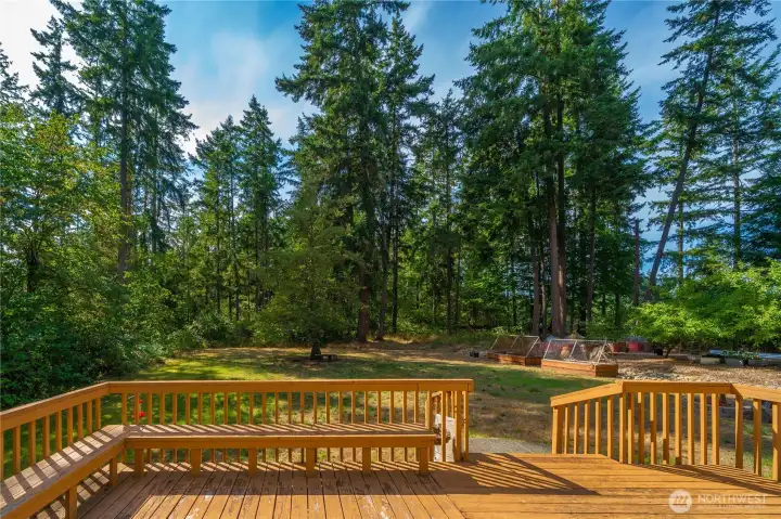 Deck overlooking spacious backyard, which extends well into the trees!