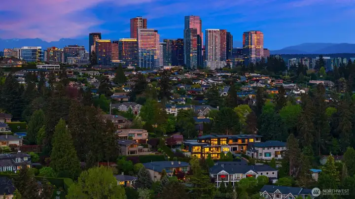 Minutes to Medina Elem, parks, beaches, downtown Bellevue amenities.