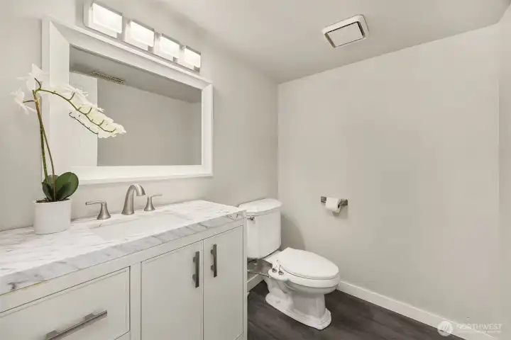 Downstairs powder room next to the lower great room with granite surface and lovely painted cabinetry.