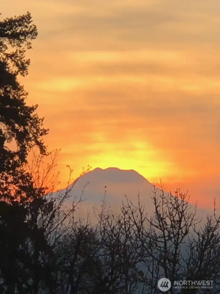 To the left just over trees are great Views of Mount Rainier from the property.