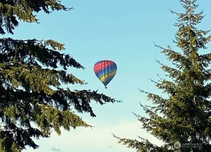 Watch the balloons! Watch the balloons!