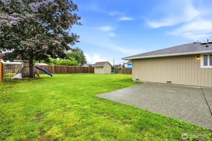 Fully fenced backyard showing the level lawn, mature shade tree, detached storage shed, and direct patio connection to the main home.