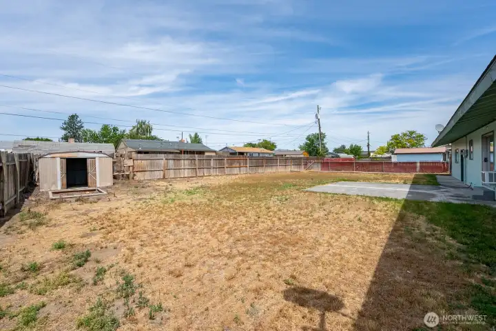 Back Yard
