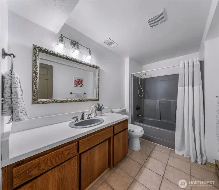 Lower level full bathroom.