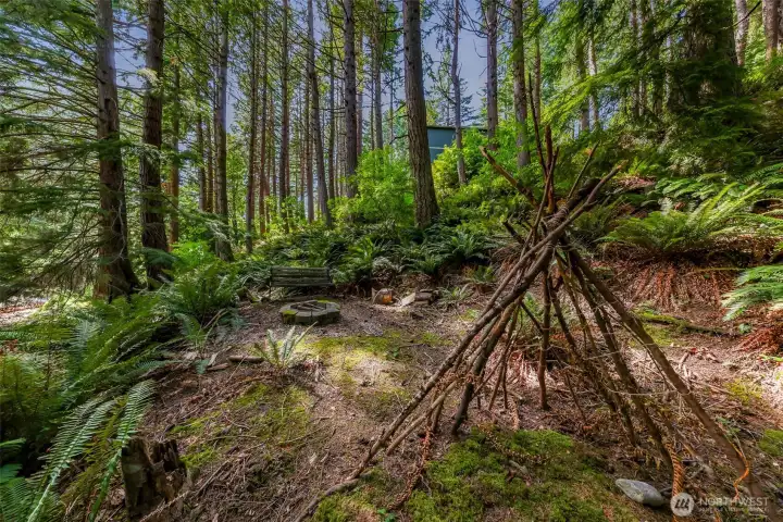 Hillside fire pit tucked among the trees.