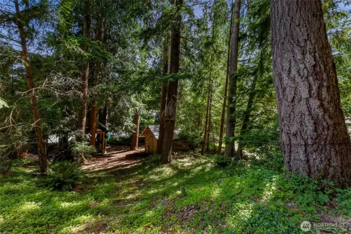 Private wooded setting leads to the play structure and retured sauna.