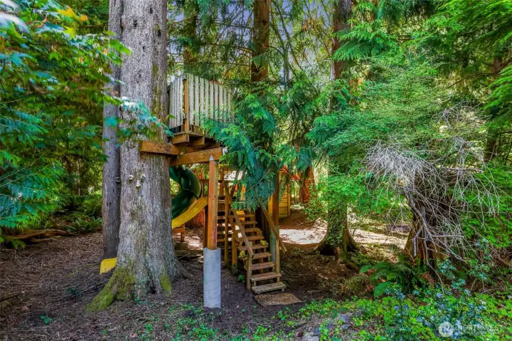 SVCA-approved tree fort with two slides.