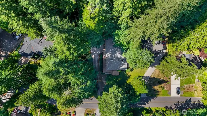 Aerial view showcasing the home's double lot.