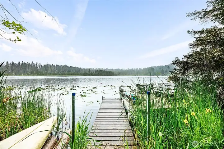 Enjoy playing on the lake! Enjoy playing on the lake!