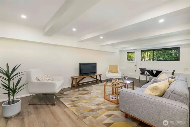 Lower level family room.