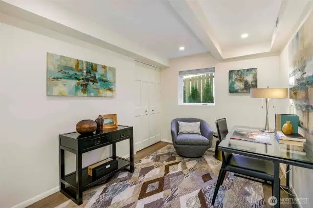 Lower level /den bedroom.