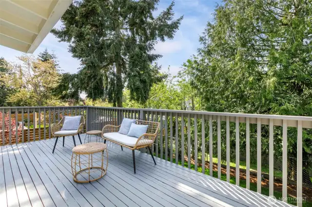 Deck off living room overlooks back yard.
